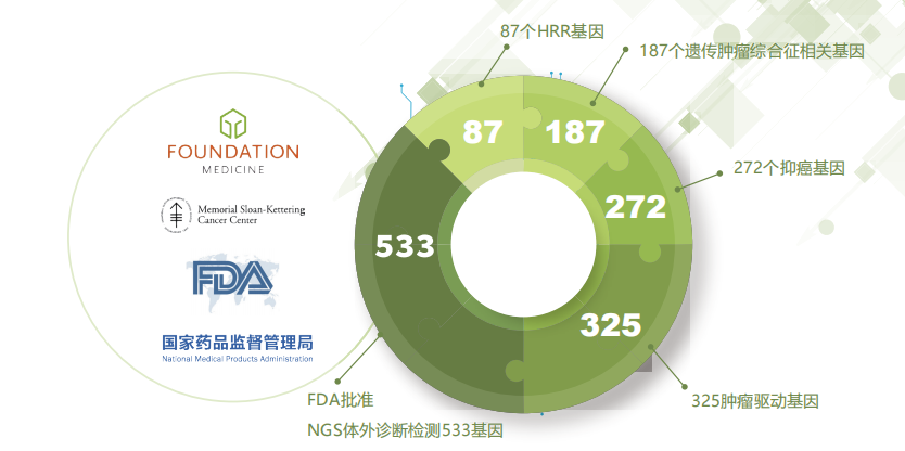 SMARTONCR®实体瘤全面用药评估监测